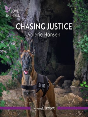 cover image of Chasing Justice